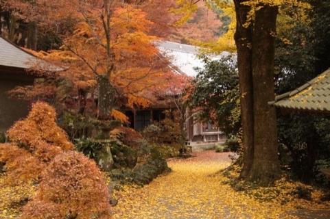 長安寺